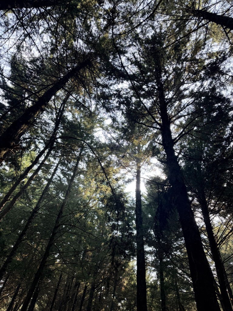 Chasing Trails, Waterfalls and Mountains