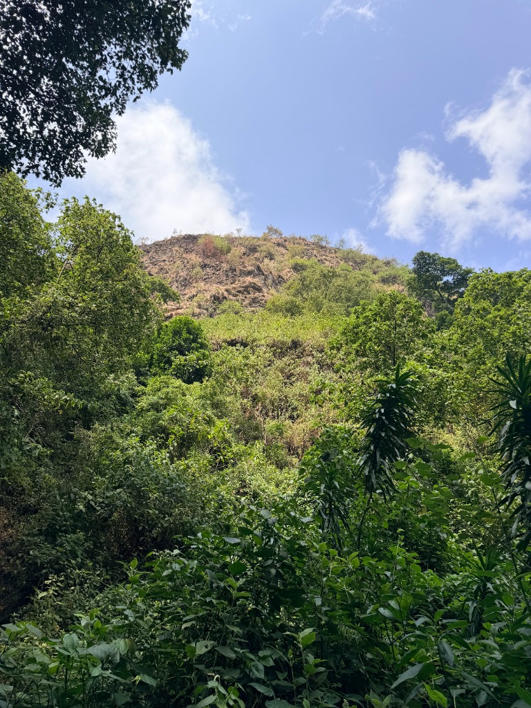 The Hill