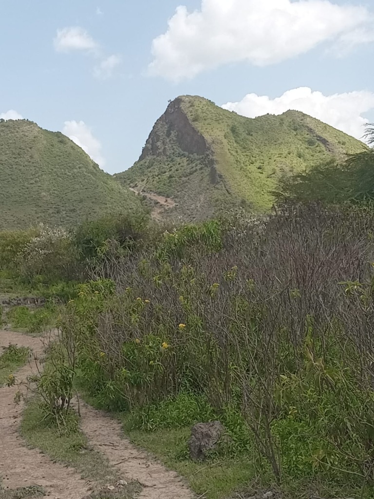 Sleeping Warrior View