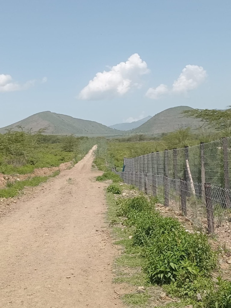 Mount Ugali View