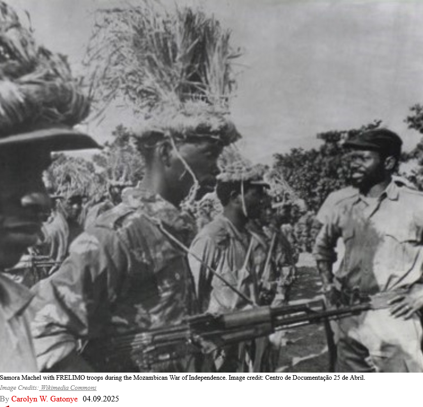 Terrorists Pambazuka Piece